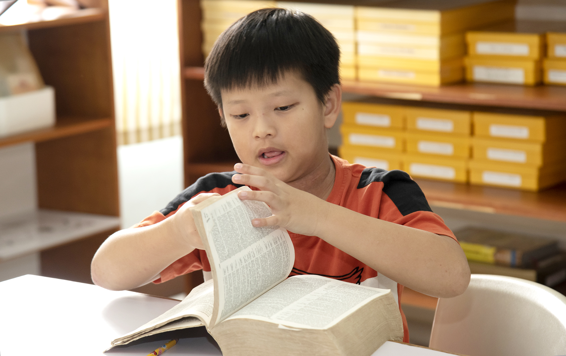 Montessori cultivates a love of learning